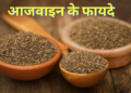 General Health / Benefits Of Ajwain