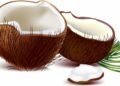 Benefits of coconut / नारियल के फायदे