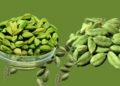 Cardamom (Elaichi) Benefits in Hindi/ छोटी इलायची के फायदे