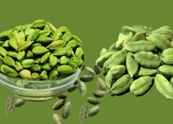 Cardamom (Elaichi) Benefits in Hindi/ छोटी इलायची के फायदे