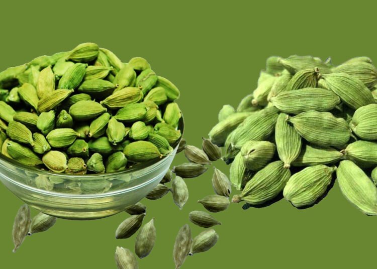 Cardamom (Elaichi) Benefits in Hindi/ छोटी इलायची के फायदे