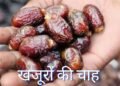 Santmt ki Sakhiya in hindi / खजूरों की चाह