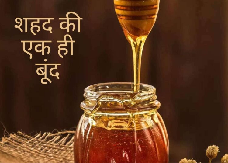 Santmt ki Sakhiya in hindi/ Shhd ki ak bund