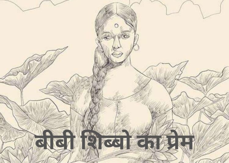 Santmt ki Sakhiya in hindi/ Bibi shibbo ka prem